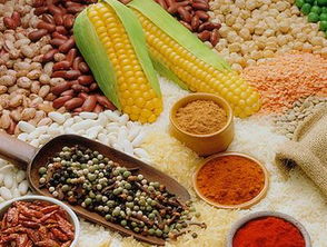 備孕須知 常吃三種助排卵食物，助力好孕降臨